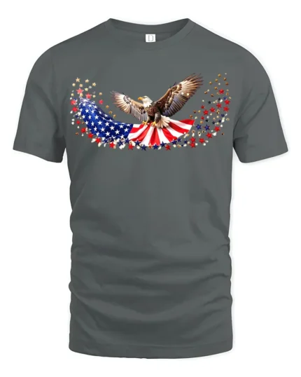 American Eagle T-Shirt Stars and Stripes - gray t-shirt on white background