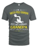 Water Polo Grandpa T-Shirt Funny Cool Grandpa Tee Gift - gray t-shirt on white background