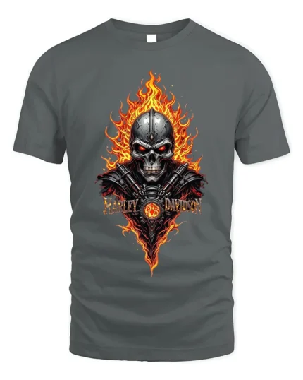 Harley Davidson Skull Flames T-Shirt Biker Graphic - gray t-shirt on white background