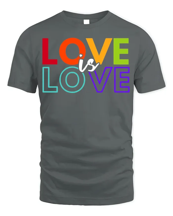 Love Is Love Pride T-Shirt LGBTQ Equality Statement - gray t-shirt on white background