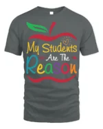 My Students Are The Reason Teacher Apple T-Shirt - gray t-shirt on white background