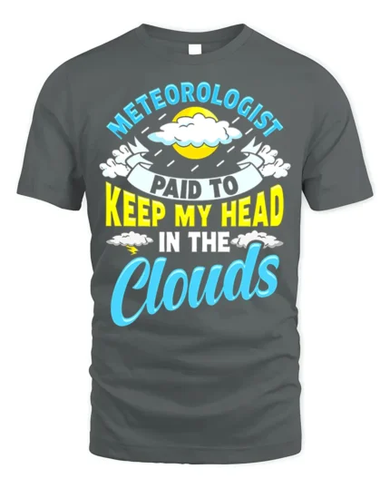 Meteorologist T-Shirt Head In The Clouds Tee - gray t-shirt on white background