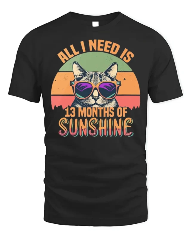 All I Need Is Sunshine Cat Tshirt Retro Summer Tee - black t-shirt on white background