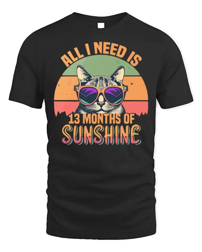 All I Need Is Sunshine Cat Tshirt Retro Summer Tee - black t-shirt on white background