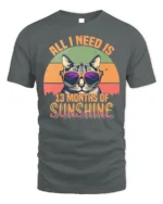 All I Need Is Sunshine Cat Tshirt Retro Summer Tee - gray t-shirt on white background