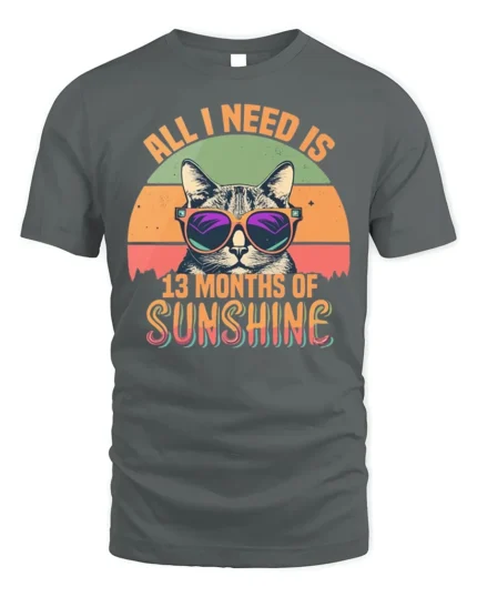 All I Need Is Sunshine Cat Tshirt Retro Summer Tee - gray t-shirt on white background