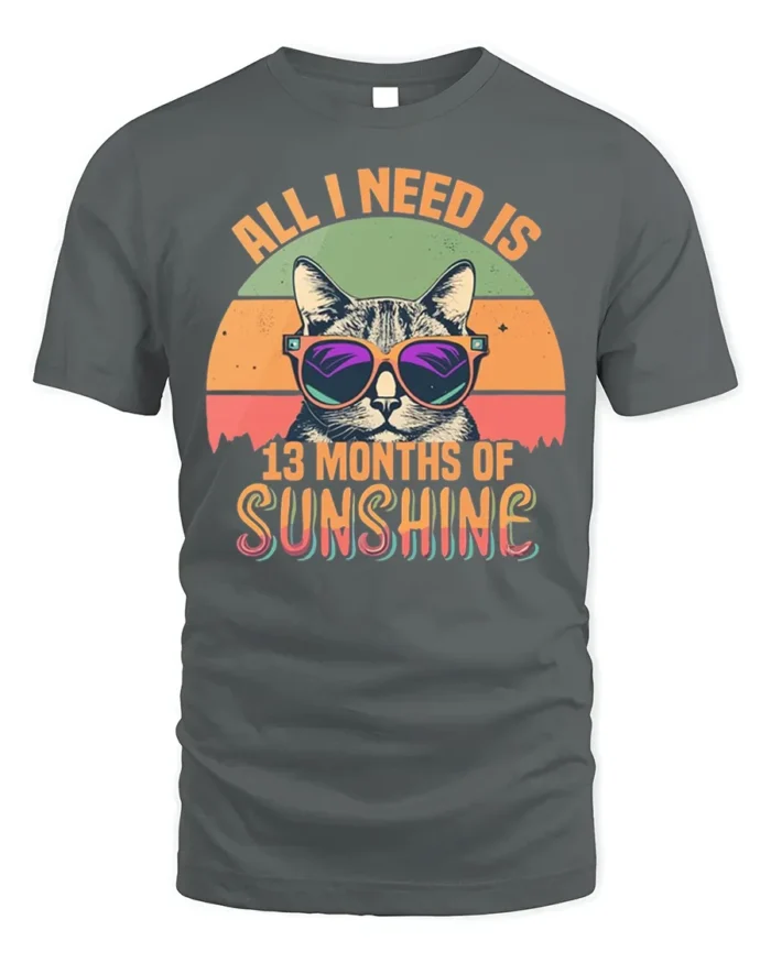 All I Need Is Sunshine Cat Tshirt Retro Summer Tee - gray t-shirt on white background