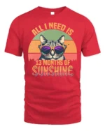 All I Need Is Sunshine Cat Tshirt Retro Summer Tee - red t-shirt on white background