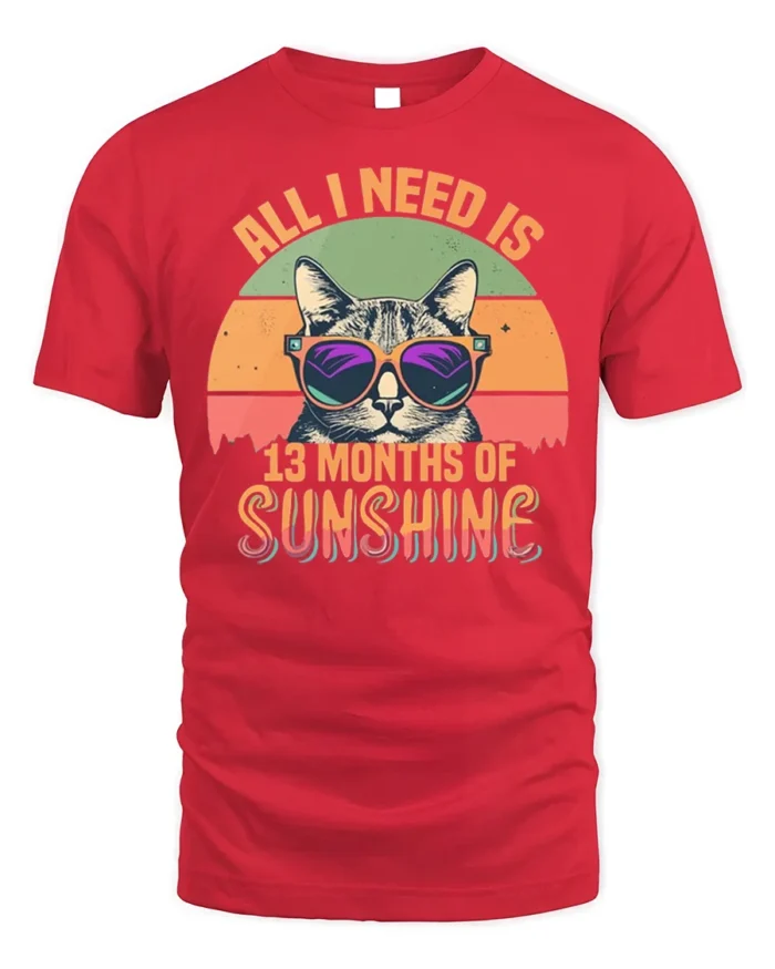 All I Need Is Sunshine Cat Tshirt Retro Summer Tee - red t-shirt on white background
