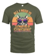 All I Need Is Sunshine Cat Tshirt Retro Summer Tee - military green t-shirt on white background