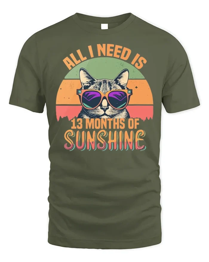All I Need Is Sunshine Cat Tshirt Retro Summer Tee - military green t-shirt on white background