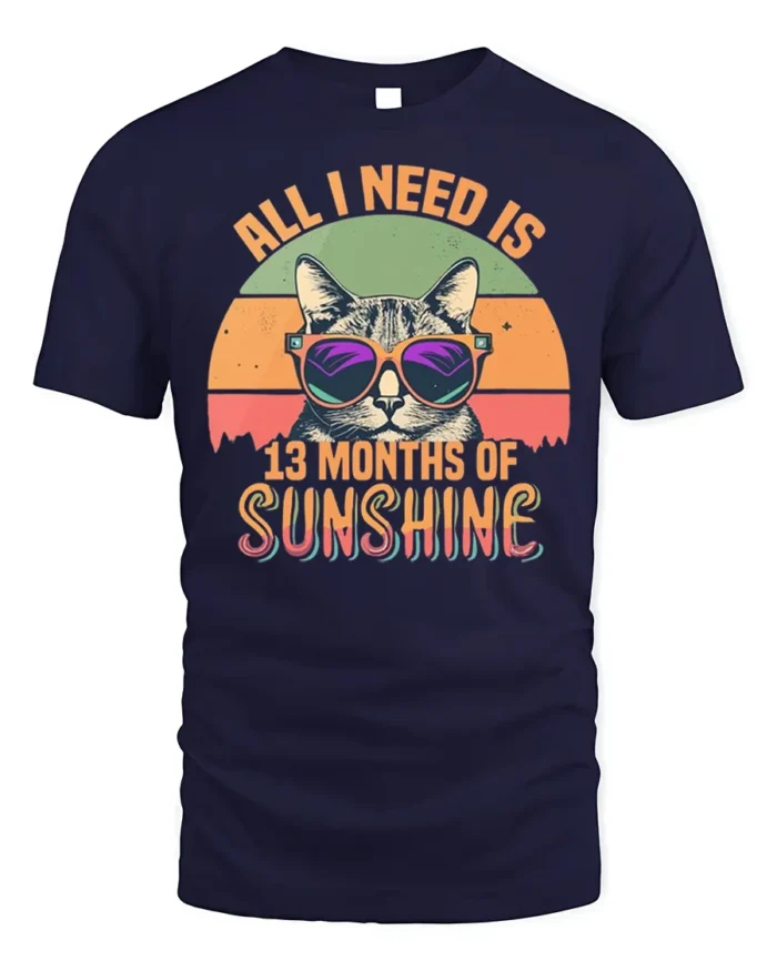 All I Need Is Sunshine Cat Tshirt Retro Summer Tee - navy t-shirt on white background