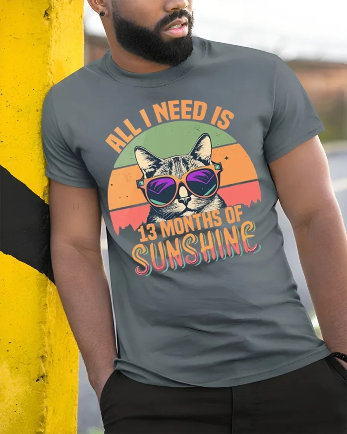 All I Need Is Sunshine Cat Tshirt Retro Summer Tee - model in grey shirt leaning against column