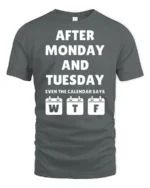 Funny After Monday Tuesday WTF Calendar Joke Graphic T Shirt - gray t-shirt on white background