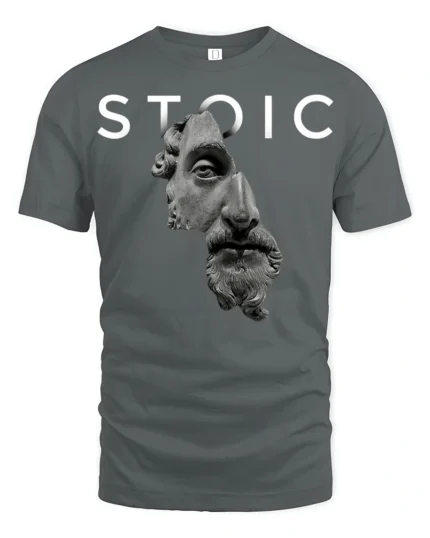 Stoic Philosophy Roman Statue Graphic T Shirt Minimalist Tee - gray t-shirt on white background