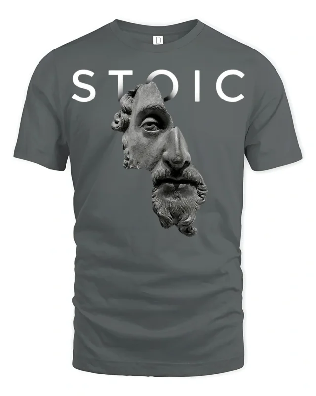 Stoic Philosophy Roman Statue Graphic T Shirt Minimalist Tee - gray t-shirt on white background