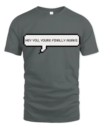 Hey You Youre Finally Awake Funny Gamer Meme Quote T Shirt - gray t-shirt on white background