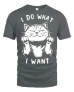Sassy I Do What I Want Confident Cat Graphic Tee - gray t-shirt on white background