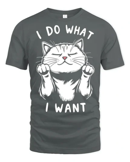 Sassy I Do What I Want Confident Cat Graphic Tee - gray t-shirt on white background