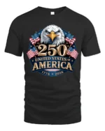 Historic Semiquincentennial United States 250th Anniversary Tee - black t-shirt on white background