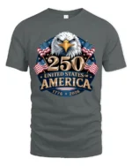 Historic Semiquincentennial United States 250th Anniversary Tee - gray t-shirt on white background