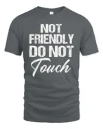 Sarcastic Not Friendly Do Not Touch Moody Slogan Tshirt - gray t-shirt on white background